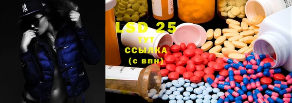 стафф Михайловск