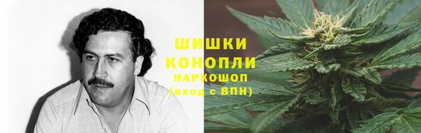 стафф Михайловск