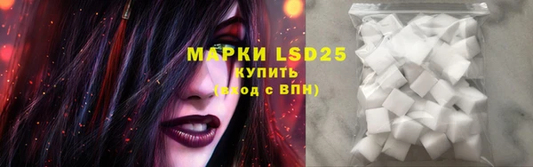 стафф Михайловск