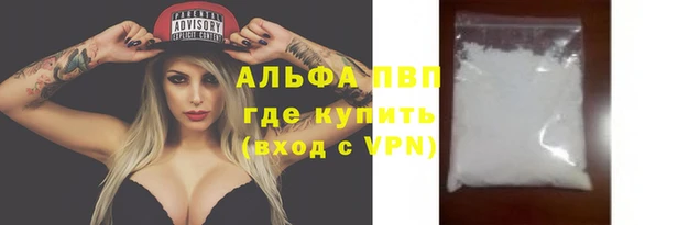 стафф Михайловск