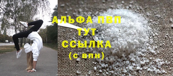 стафф Михайловск
